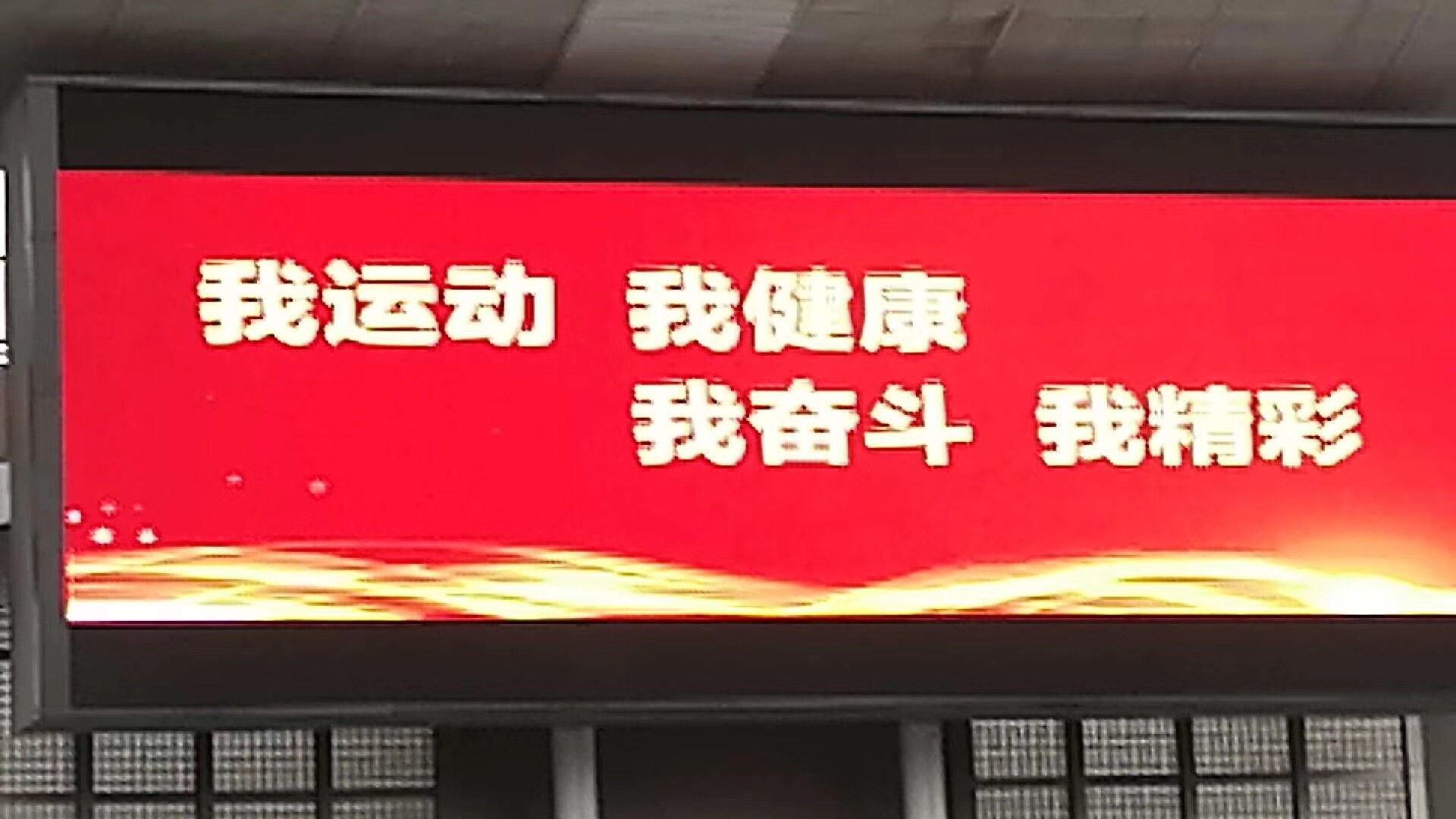 省国税局参加省级机关第三届运动会精彩掠影