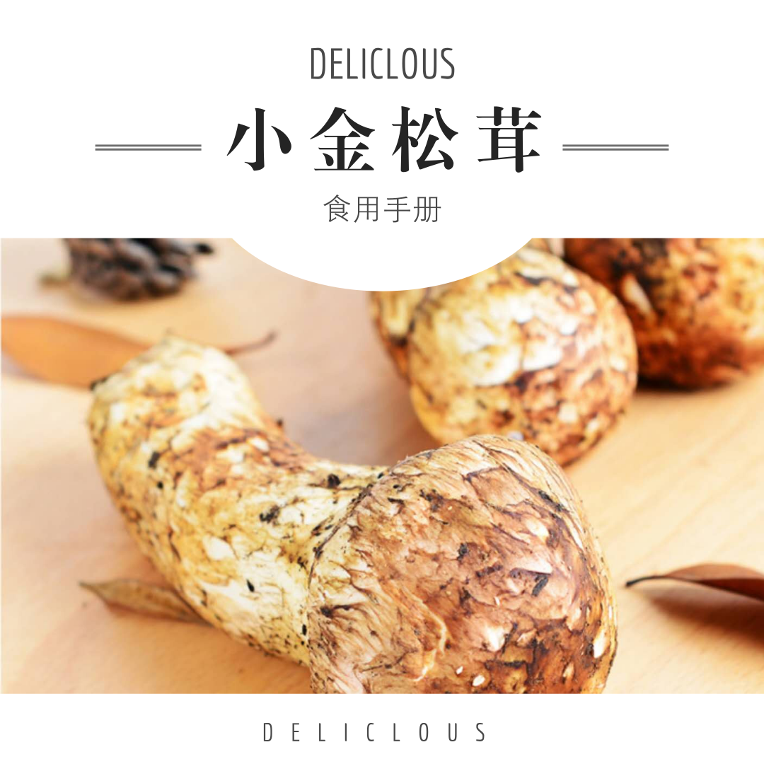 “小金出品”小金松茸食用手册