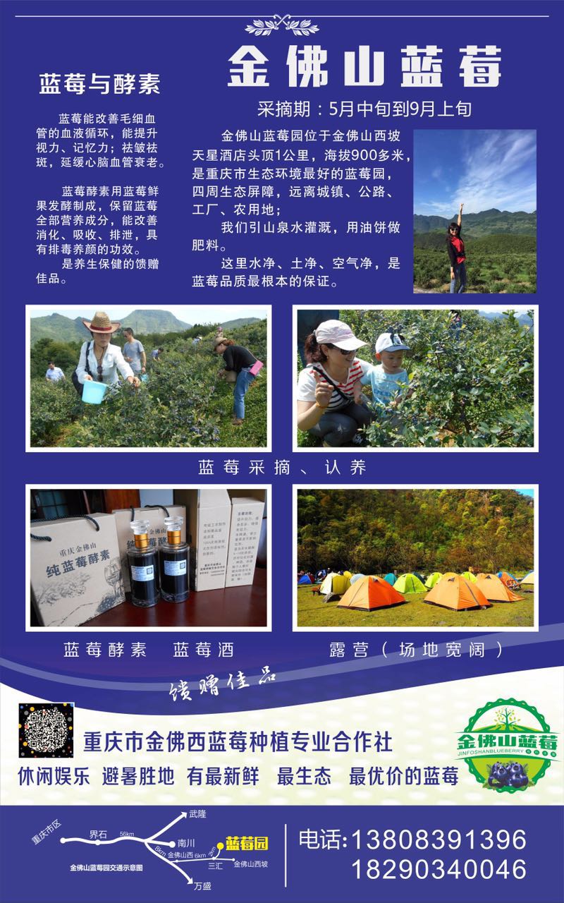 綠色食品基地，重慶最天然藍(lán)莓園