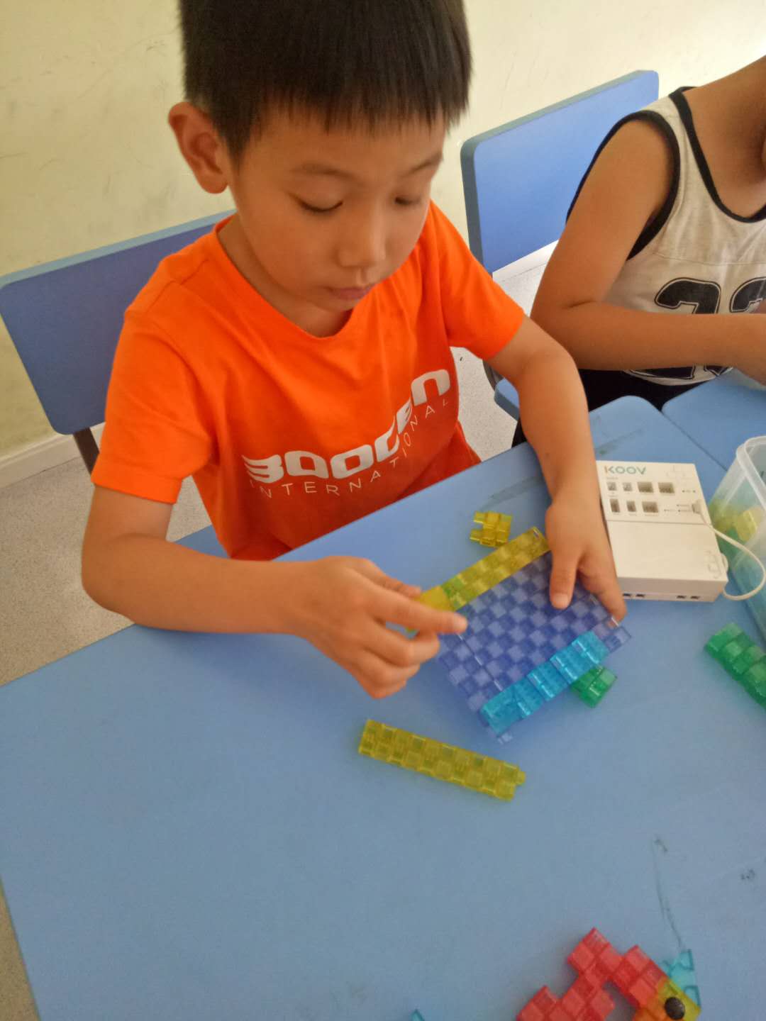 7.19-农耕养殖-鸡