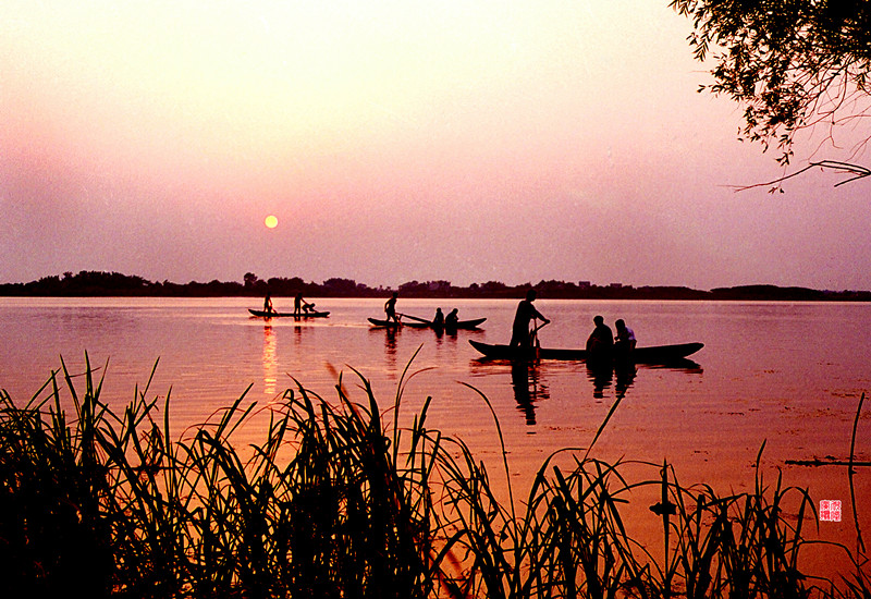 天鹅洲长江故道湿地