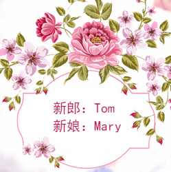郑新&马君君我们结婚啦