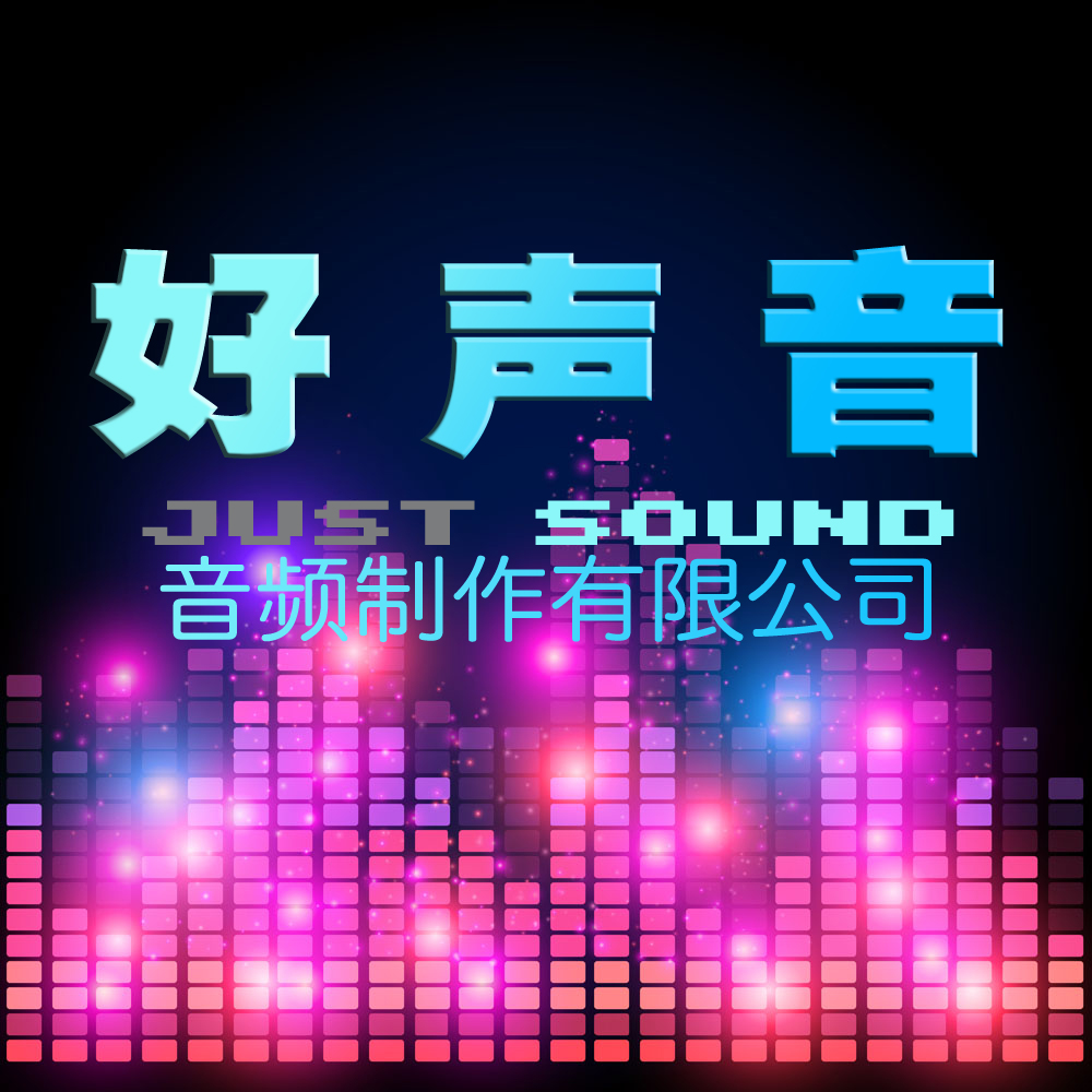 好声音公司简介