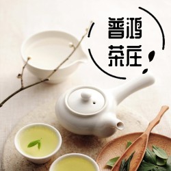 茶樓開業  茶葉宣傳 茶山 新茶  茶館  茶室 普洱茶  