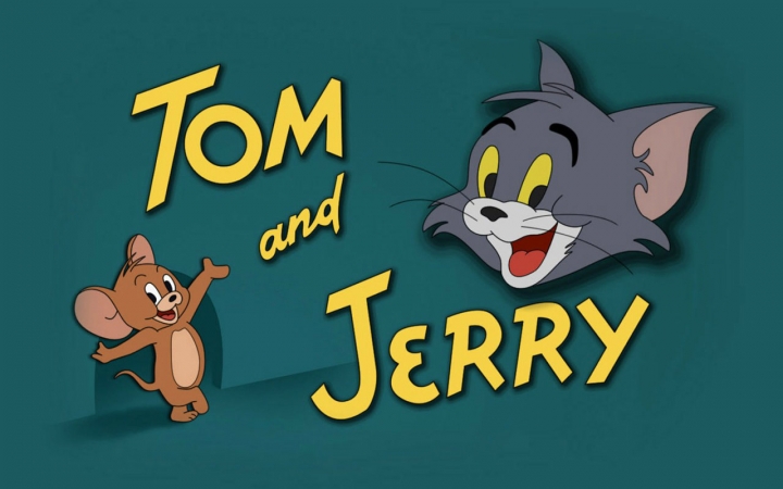 搜索老鼠啃家具