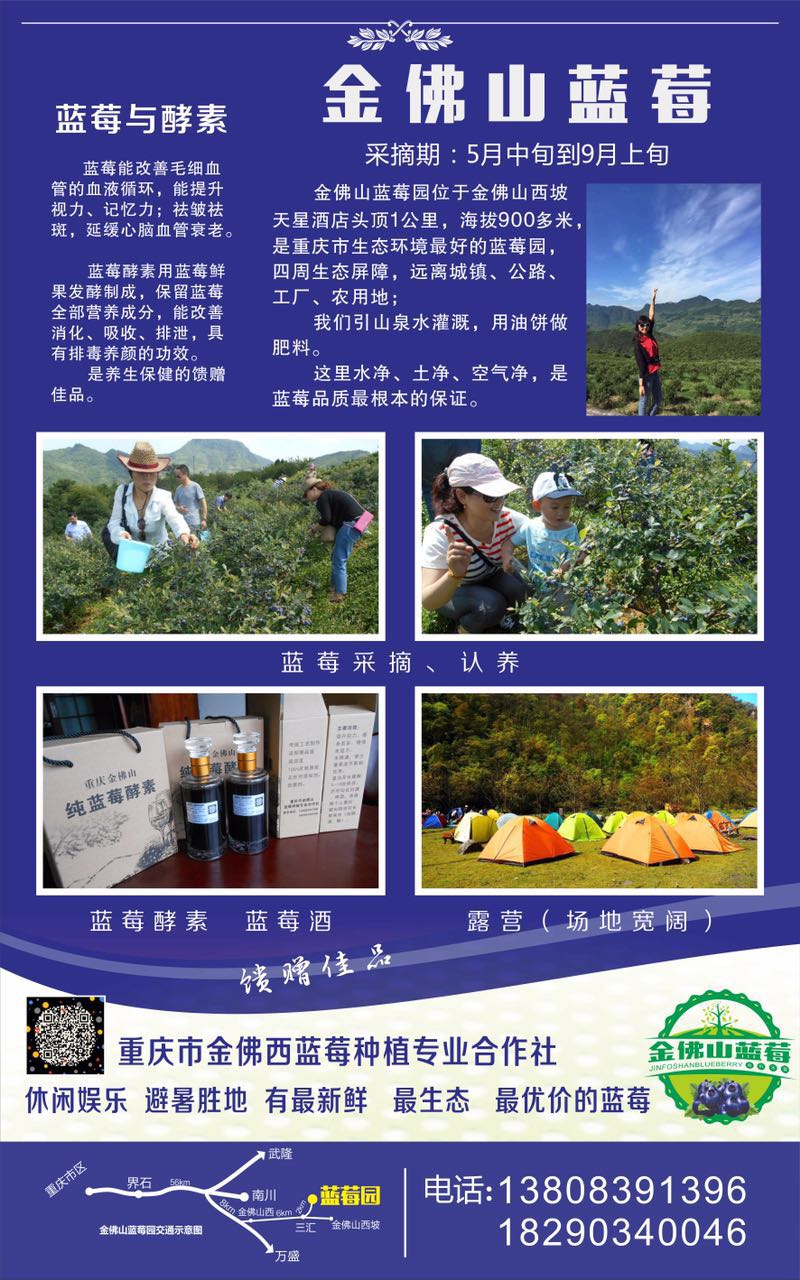 绿色食品基地，重庆最天然蓝莓园