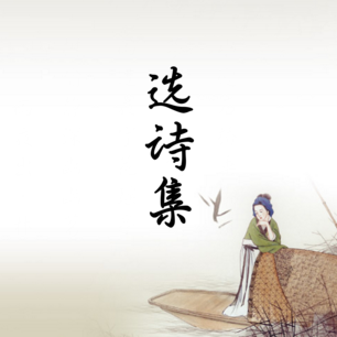 康緣美域港澳招商會