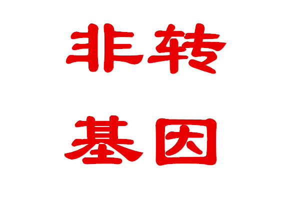 非轉基因，審定品種，不操心的好品種----美聯178